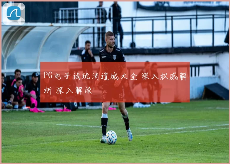PG电子试玩消遣城大全 深入权威解析 深入解读