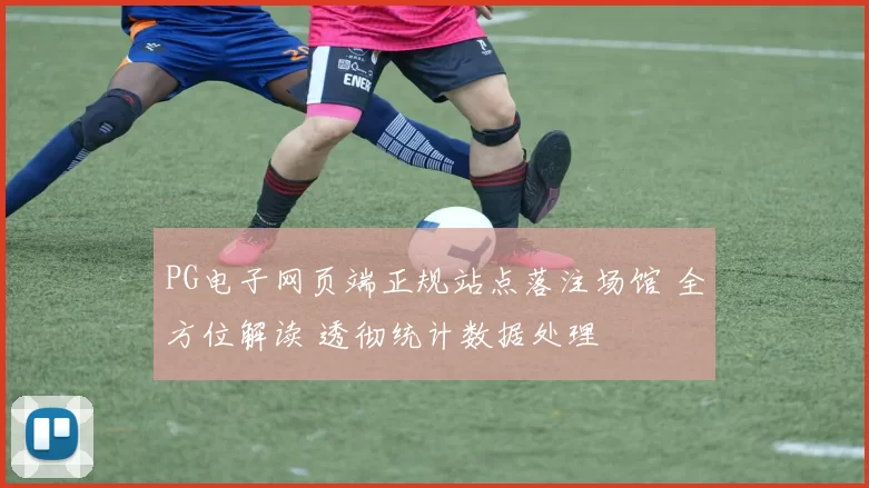 PG电子网页端正规站点落注场馆 全方位解读 透彻统计数据处理