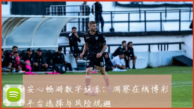 安心畅游数字娱乐：洞察在线博彩平台选择与风险规避