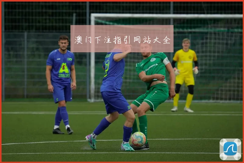 澳门下注指引网站大全